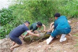 Xử lý an toàn quả bom nặng 350 kg tại Việt Yên, Bắc Giang